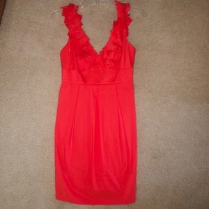 BCBG Coral Dress